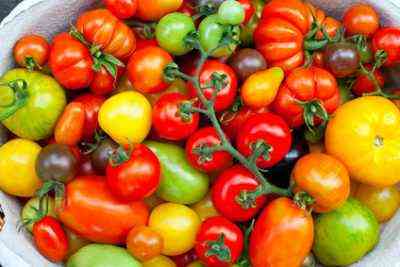 Eigenschaften der Tomatensorten Kirschrot