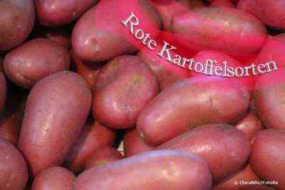 Eigenschaften von Asterix-Kartoffeln
