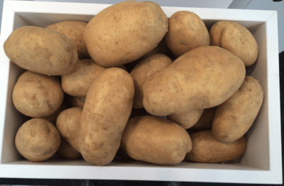 Sorten niederländischer Kartoffeln