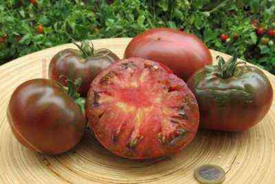 Sorten sibirischer Tomatensorten