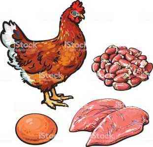 Sorten von Fleisch-Ei-Huhn