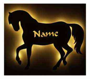 Wie man Namen für Pferde, Jungen und Mädchen wählt