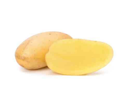 Beschreibung der Kartoffelsorte Melody