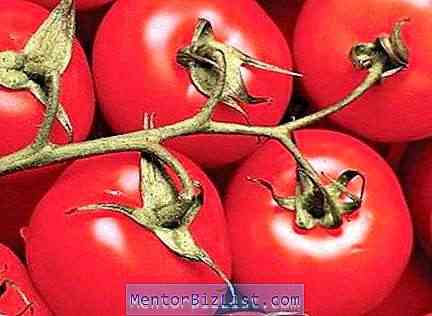 Eigenschaften und Beschreibung der Tomatensorte Dar Zavolzhye