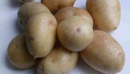 Eigenschaften von Labella-Kartoffelsorten
