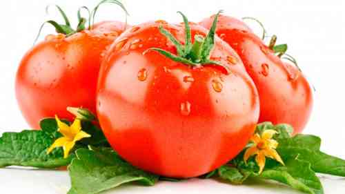 Eigenschaften von Tomaten Dicke Wangen