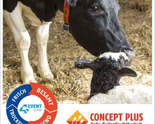 Grundregeln für die künstliche Befruchtung von Kühen