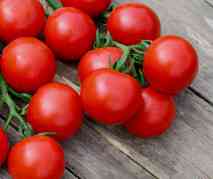 Phytophthora-resistente Tomatensorten