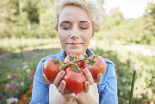 Regeln für den Anbau und das Gießen von Tomaten auf der Fensterbank