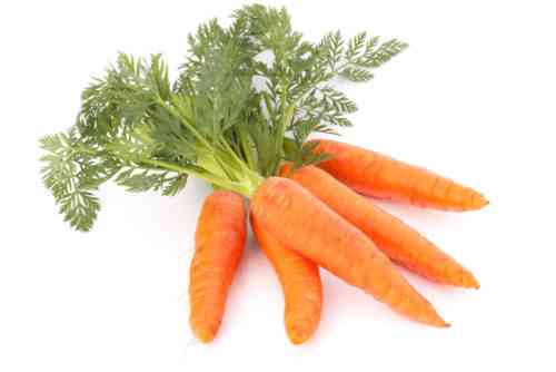 Stärkegehalt in Karotten