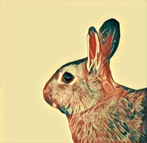 Warum von Hasen und Kaninchen träumen?