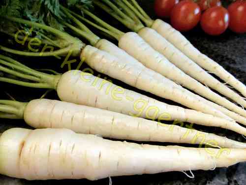 Weiße Karotten