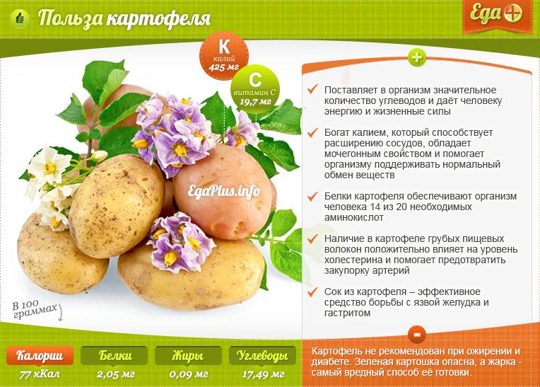 Nützliche Eigenschaften von Kartoffeln