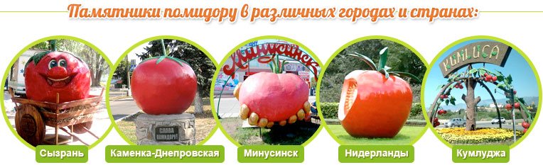 Denkmäler für Tomaten in den Städten Syzran, Kamenka-Dneprovskaya, Minusinsk, Kumludzha, Niederlande