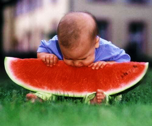WASSERMELON Wie man eine Wassermelone auswählt Wassermelonen-Delikatessen Wassermelonenschnitzen Wassermelonen-Kosmetik Wie man eine Wassermelone in der Mittelspur anbaut
