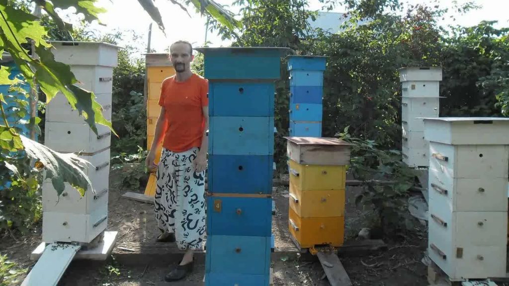 Über Varres Bienenstock: Zusammenbau mit Bauplänen