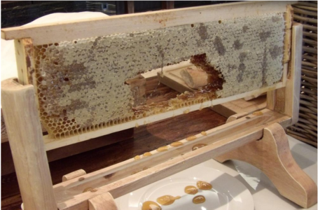 Wie man einen Rahmen für einen Bienenstock macht: Schritt-für-Schritt-Anleitung