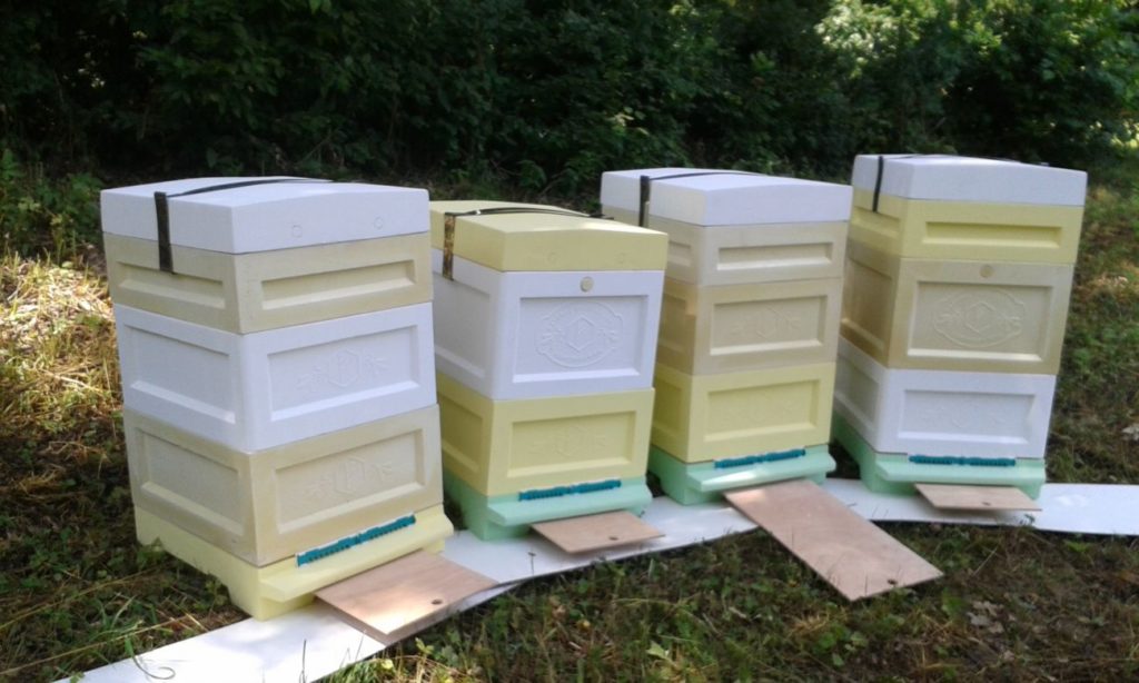 Bienenstöcke aus expandiertem Polystyrol und Polyurethanschaum herstellen: Unterschiede, Vor- und Nachteile