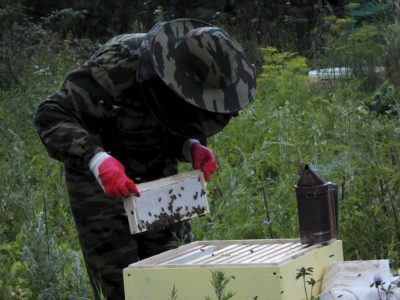 Was sind Bee Layering und wie werden sie hergestellt?