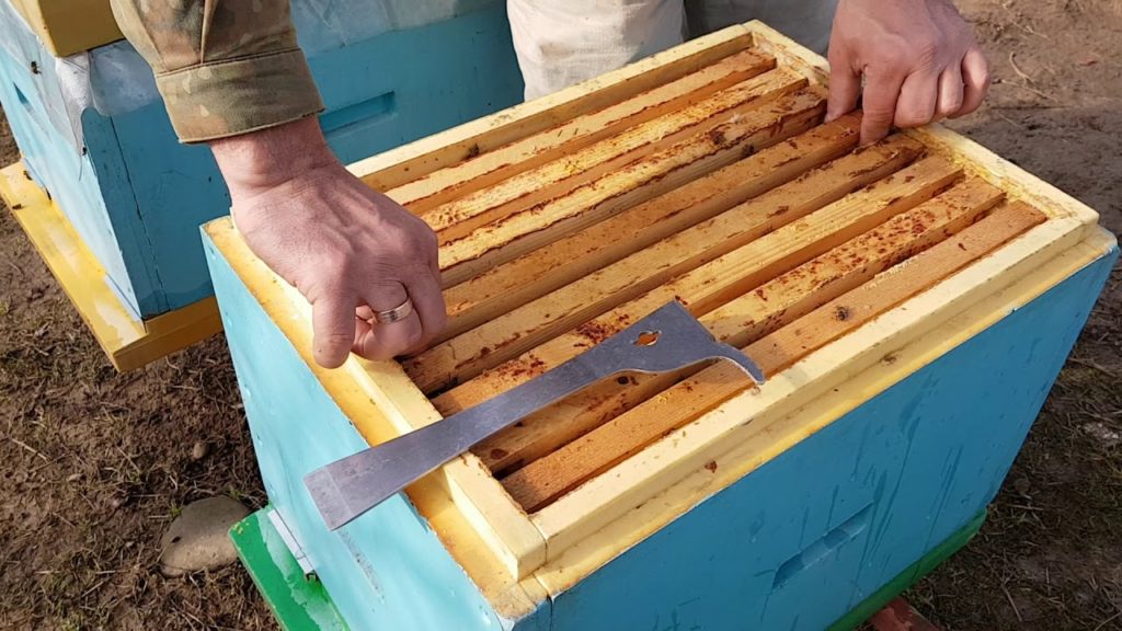 Frühjahrsarbeit im Bienenstand in Etappen