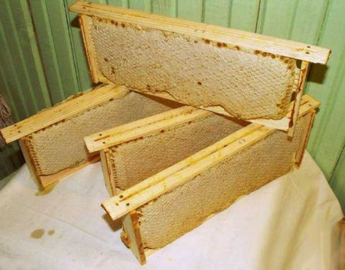 Rahmen mit Honig