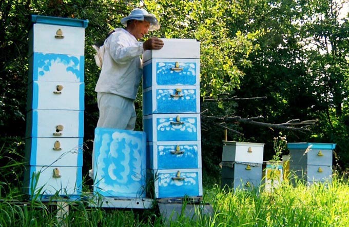 Arbeit im Bienenhaus