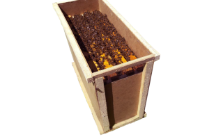 Bienenpakete - was es ist, wie sie gebildet und enthalten sind