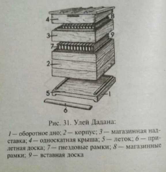 Dadanovsky Bienenstock – Eigenschaften, Vorteile, Herstellung