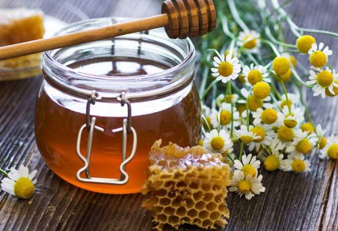 Honig in der Behandlung von Mastopathie – was jede Frau wissen muss