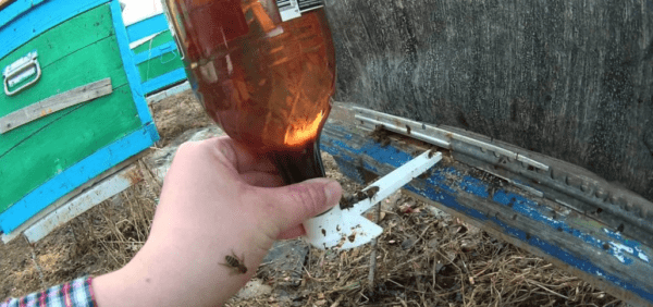 Trinknäpfe für Bienen, wie man sich aus einer Flasche macht