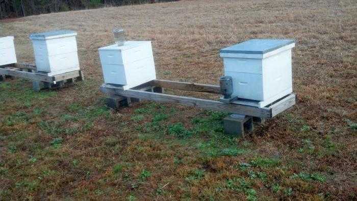 Warum brauchen Sie einen Bienenstockständer?