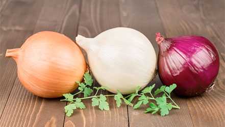 Zwiebeln, Kalorien, Nutzen und Schaden, Nützliche Eigenschaften
