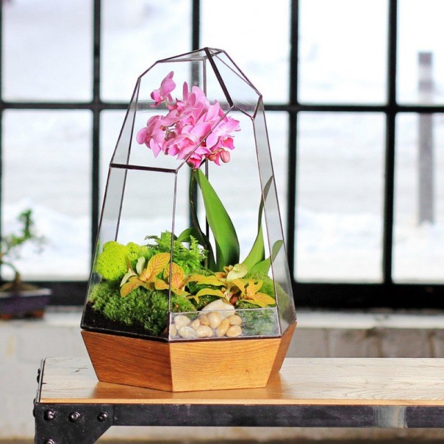 Orchidarium ist sowohl ein riesiger Raum mit Klimaanlage als auch ein kleines Florarium