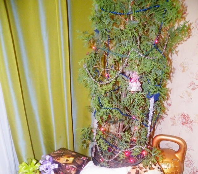 Thuja in einem Behälter, dekoriert für das neue Jahr