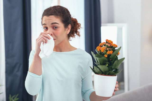 Die Symptome einer allergischen Reaktion auf Zimmerpflanzen können unterschiedlich sein.