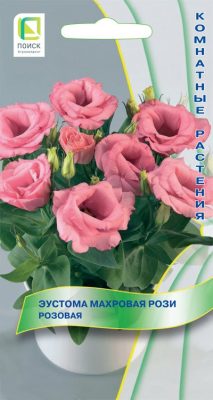Frottee-Eustoma "Rosiges Pink"
