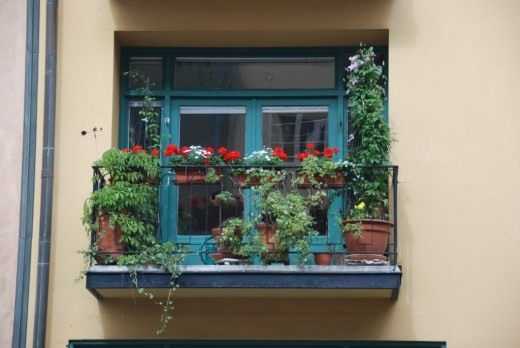 Hängende Gärten oder ein grünes Arbeitszimmer auf dem Balkon. – Verlassen