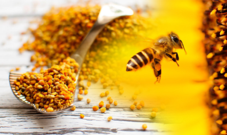 Abnehmen und Bienenpollen