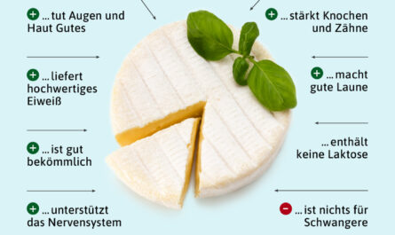 Camembert und Brie, Kalorien, Nutzen und Schaden, Nützliche Eigenschaften