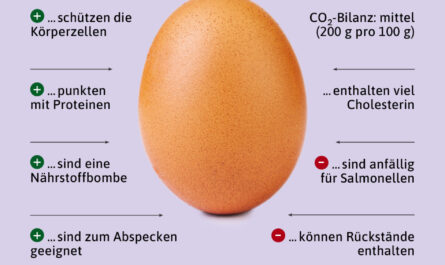 Emu-Eier, Kalorien, Nutzen und Schaden, Nützliche Eigenschaften
