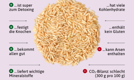 Gekeimter Reis - nützliche und gefährliche Eigenschaften von gekeimtem Reis, Kalorien, Nutzen und Schaden, Nützliche Eigenschaften