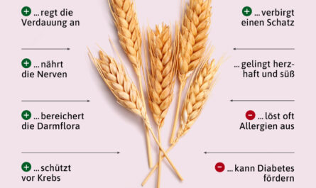 Gekeimter Weizen - nützliche und gefährliche Eigenschaften von gekeimtem Weizen, Kalorien, Nutzen und Schaden, Nützliche Eigenschaften