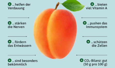 Getrocknete Aprikosen (Aprikosen), Kalorien, Nutzen und Schaden, Nützliche Eigenschaften