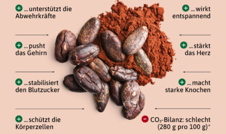 Kakaofrucht - nützliche und gefährliche Eigenschaften der Kakaofrucht, Kalorien, Nutzen und Schaden, Nützliche Eigenschaften