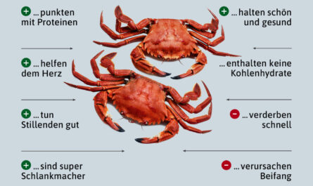 Krabben, Kalorien, Nutzen und Schaden, Nützliche Eigenschaften