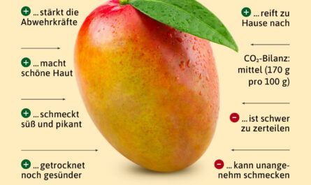Mango, Kalorien, Nutzen und Schaden, Vorteile