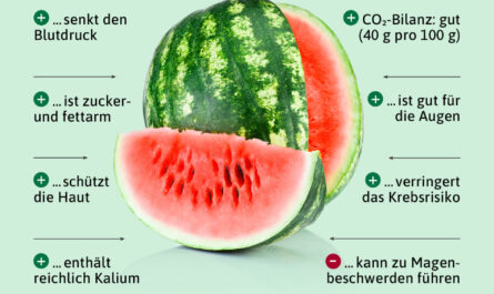 Melonensamen, Kalorien, Nutzen und Schaden, Nützliche Eigenschaften