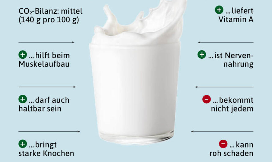 Milchpilze, Kalorien, Nutzen und Schaden, Nützliche Eigenschaften