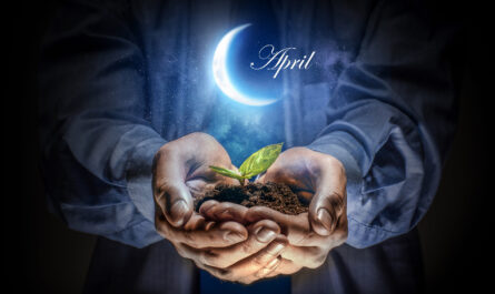 Mondkalender des Gärtners und Gärtners für April 2021 Pflege