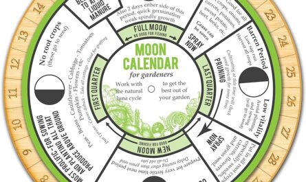 Mondkalender des Gärtners und Gärtners für März 2021 Pflege